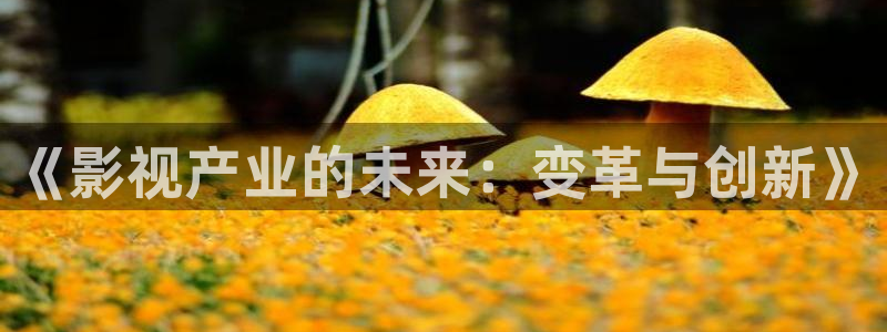 藍莓視頻 小心入：《影視產業的未來：變革與創新》