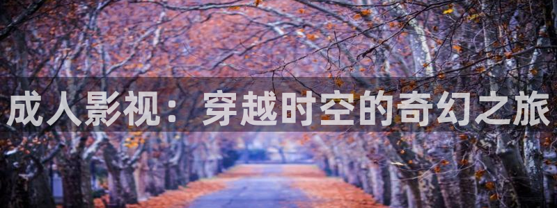 91藍莓視頻網站：成人影視：穿越時空的奇幻之旅