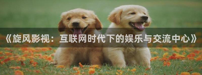 藍莓視頻在線免費觀看：《旋風影視：互聯網時代下的娛樂與交流中心》