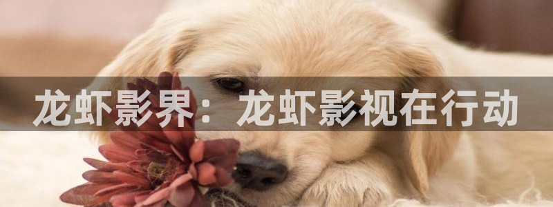 藍莓視頻直接進：龍蝦影界：龍蝦影視在行動