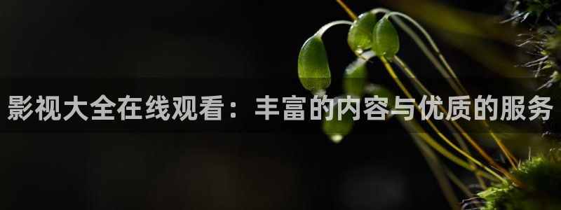 藍莓視頻怎么下載：影視大全在線觀看：豐富的內容與優質的服務