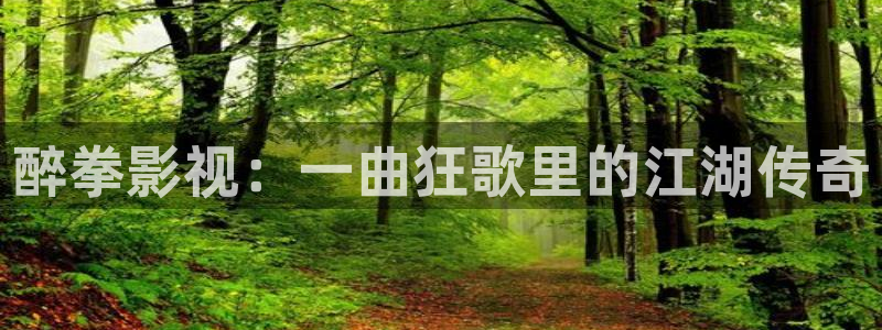 藍莓視頻黃色免費：醉拳影視：一曲狂歌里的江湖傳奇