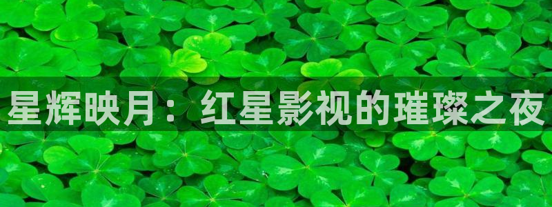 藍莓怎么授粉視頻：星輝映月：紅星影視的璀璨之夜