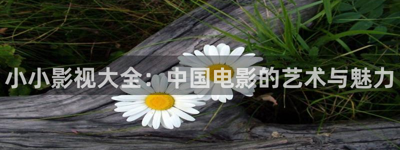 藍莓怎么剪枝視頻：小小影視大全：中國電影的藝術與魅力