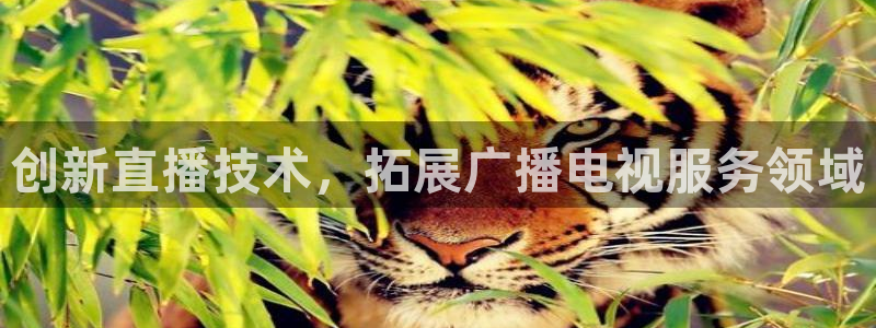 在線藍莓免費：創新直播技術，拓展廣播電視服務領域
