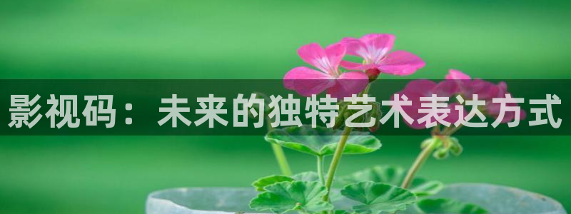 藍莓影視網站：影視碼：未來的獨特藝術表達方式