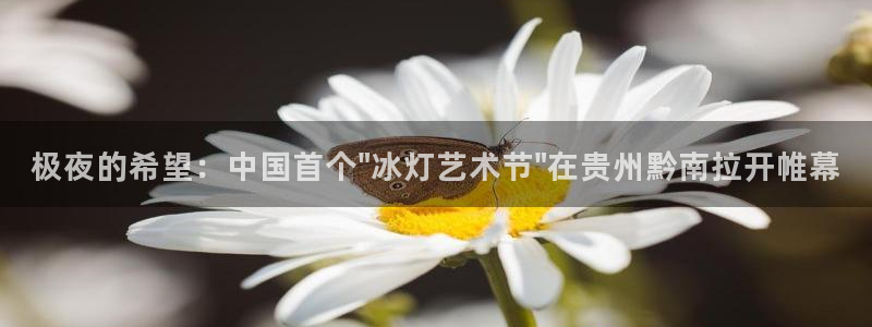 藍莓視頻網站.：極夜的希望：中國首個\